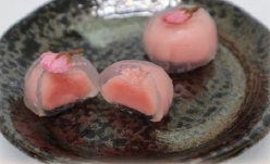 KITAKYU SAKURA SAKURA 20/20G [28]